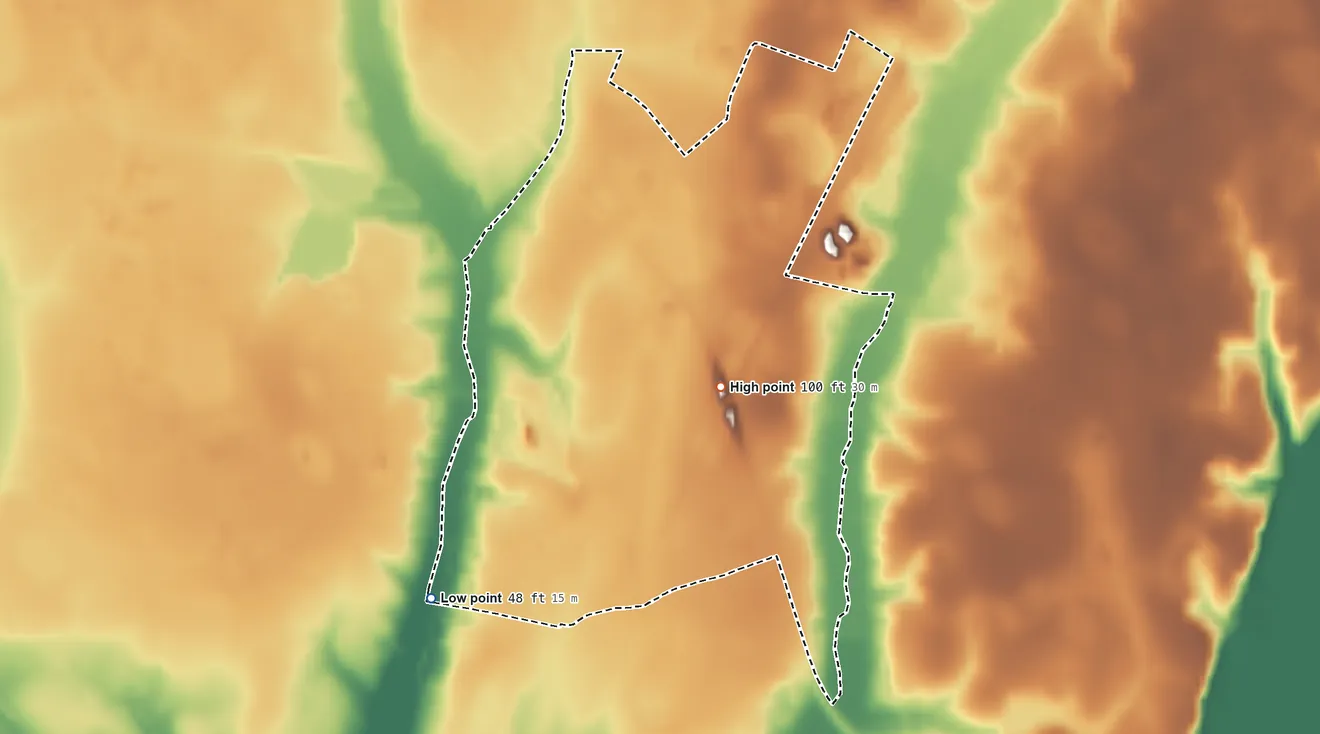 Topographic elevation map of Rains, South Carolina, shaded from 48 ft on the southwest side to 100 ft near the middle