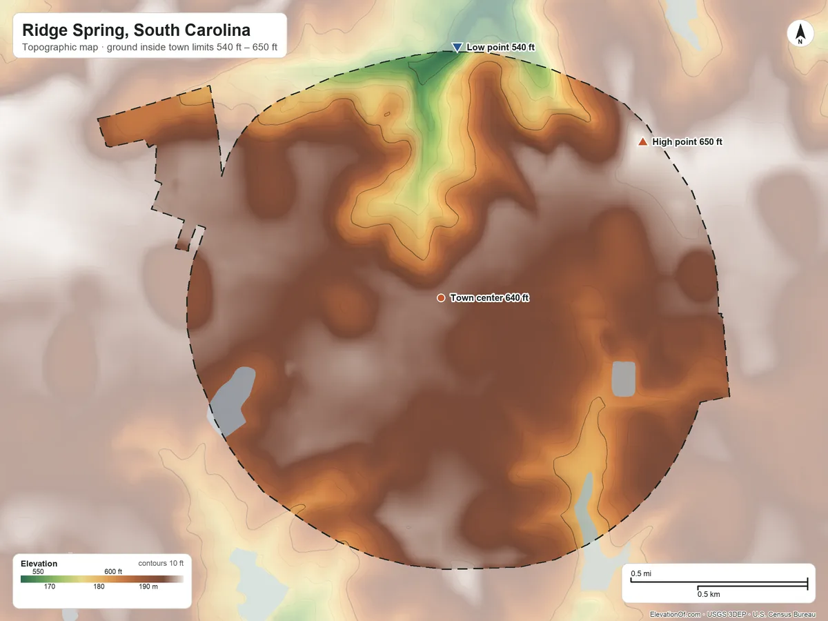 Topographic elevation map of Ridge Spring, South Carolina, shaded from 540 ft on the north side to 650 ft on the northeast side