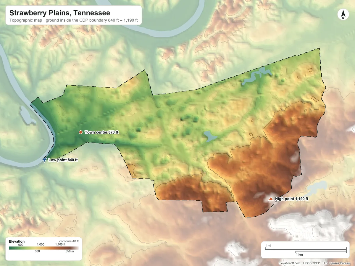 Topographic elevation map of Strawberry Plains, Tennessee, shaded from 840 ft on the southwest side to 1,190 ft on the east side