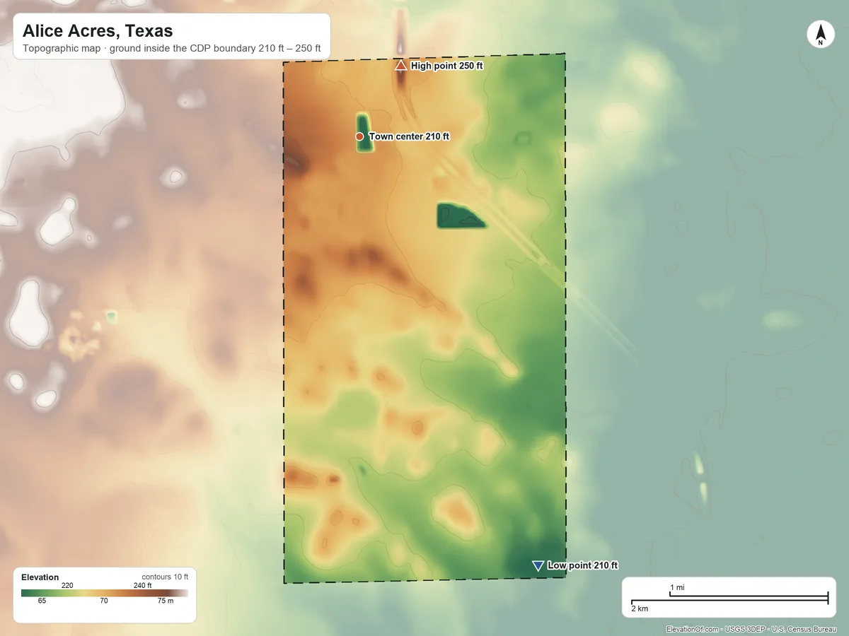 Topographic elevation map of Alice Acres, Texas, shaded from 210 ft on the southeast side to 250 ft on the northeast side