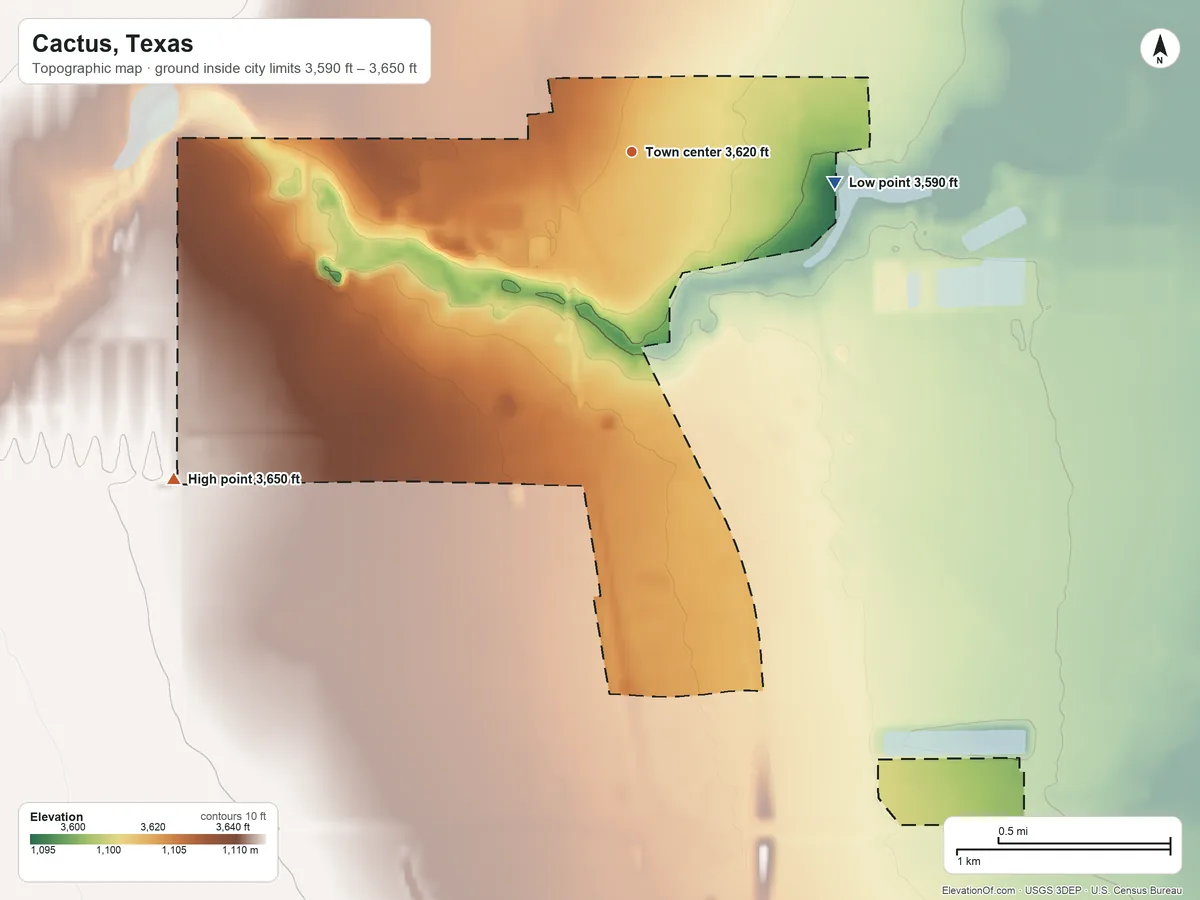 Topographic elevation map of Cactus, Texas, shaded from 3,590 ft on the east side to 3,650 ft on the southwest side