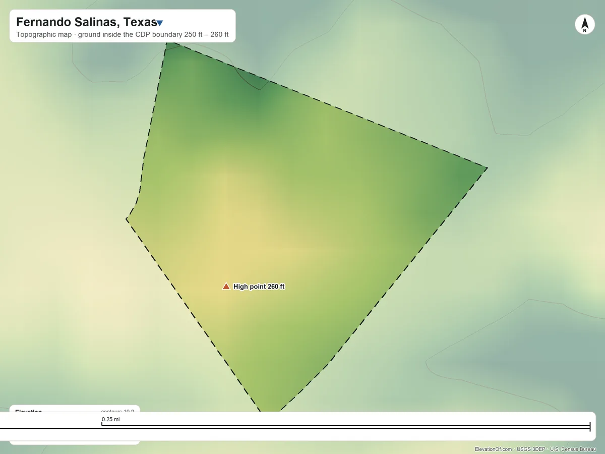 Topographic elevation map of Fernando Salinas, Texas, shaded from 250 ft on the northwest side to 260 ft on the southwest side