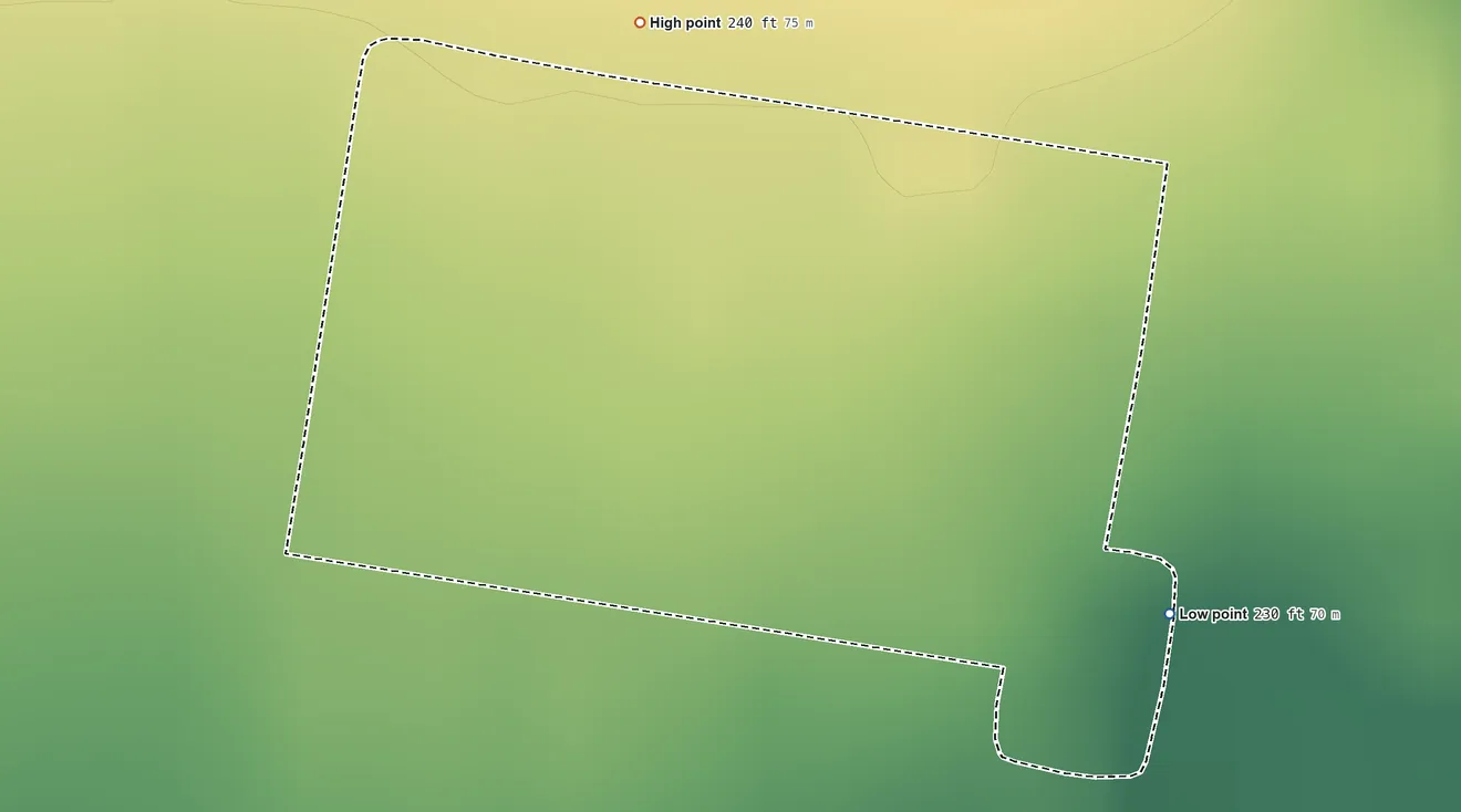Topographic elevation map of Los Ebanos, Texas, shaded from 230 ft on the east side to 240 ft on the north side