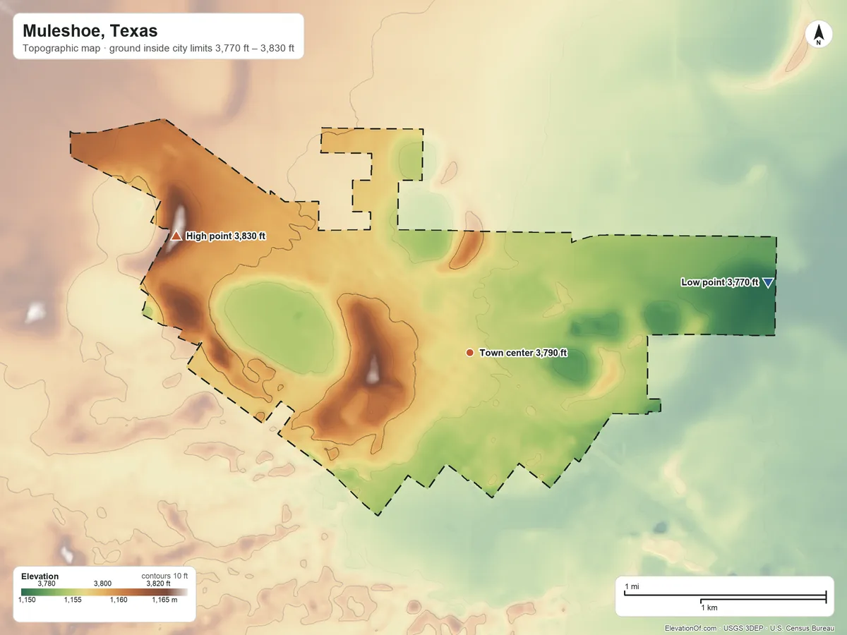Topographic elevation map of Muleshoe, Texas, shaded from 3,770 ft on the east side to 3,830 ft on the west side