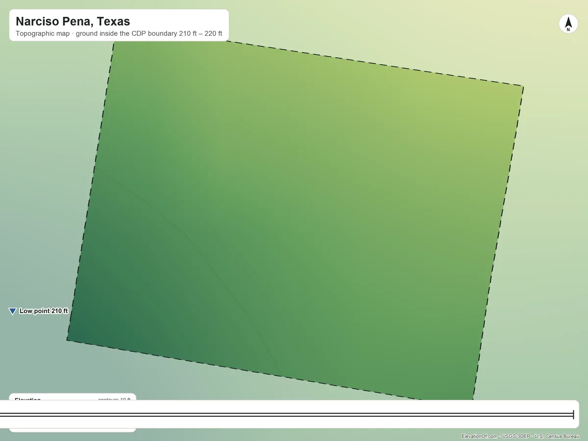 Topographic elevation map of Narciso Pena, Texas, shaded from 210 ft on the southwest side to 220 ft on the northeast side