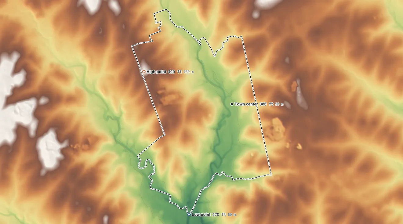 Topographic elevation map of Pettus, Texas, shaded from 270 ft on the south side to 420 ft on the west side