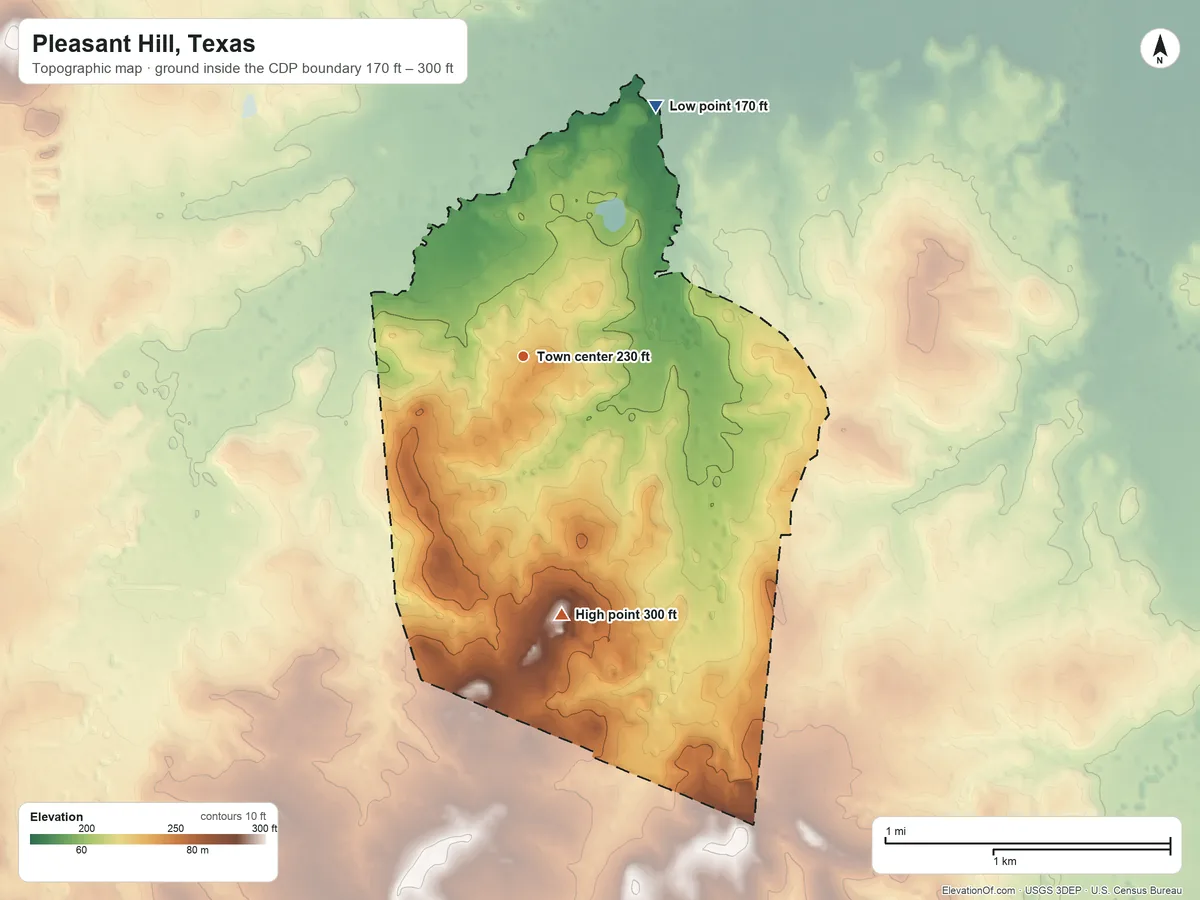 Topographic elevation map of Pleasant Hill, Texas, shaded from 170 ft on the northeast side to 300 ft on the south side