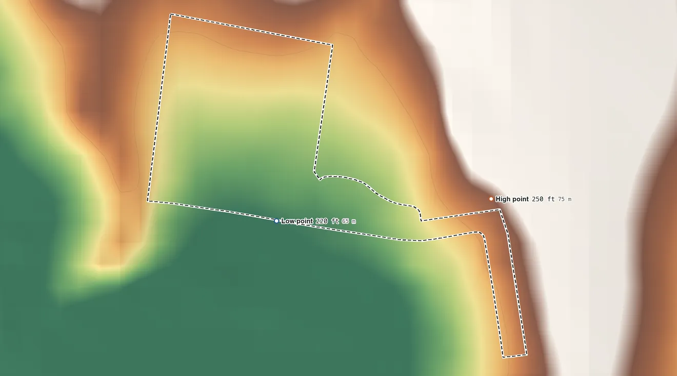 Topographic elevation map of Ramos, Texas, shaded from 220 ft on the west side to 250 ft on the east side
