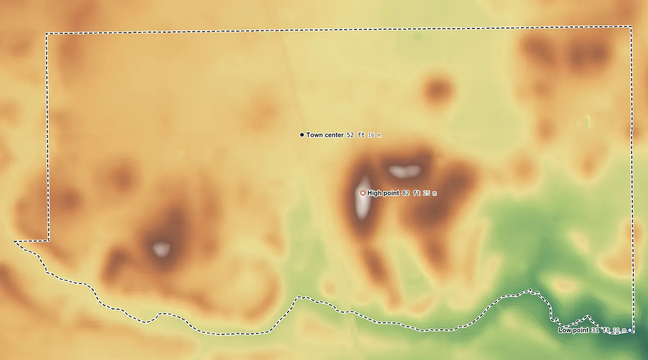 Topographic elevation map of Ricardo, Texas, shaded from 31 ft on the southeast side to 82 ft on the southeast side