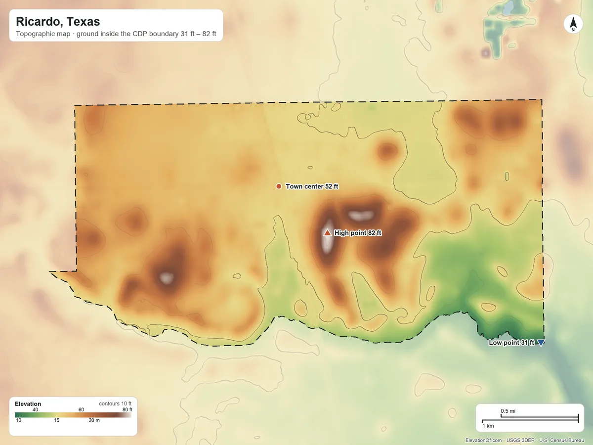 Topographic elevation map of Ricardo, Texas, shaded from 31 ft on the southeast side to 82 ft on the southeast side