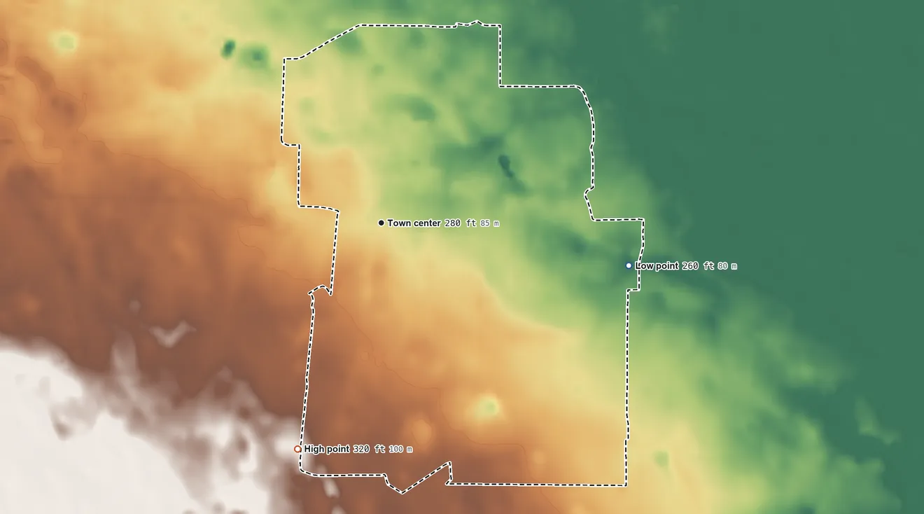 Topographic elevation map of San Isidro, Texas, shaded from 260 ft on the east side to 320 ft on the south side