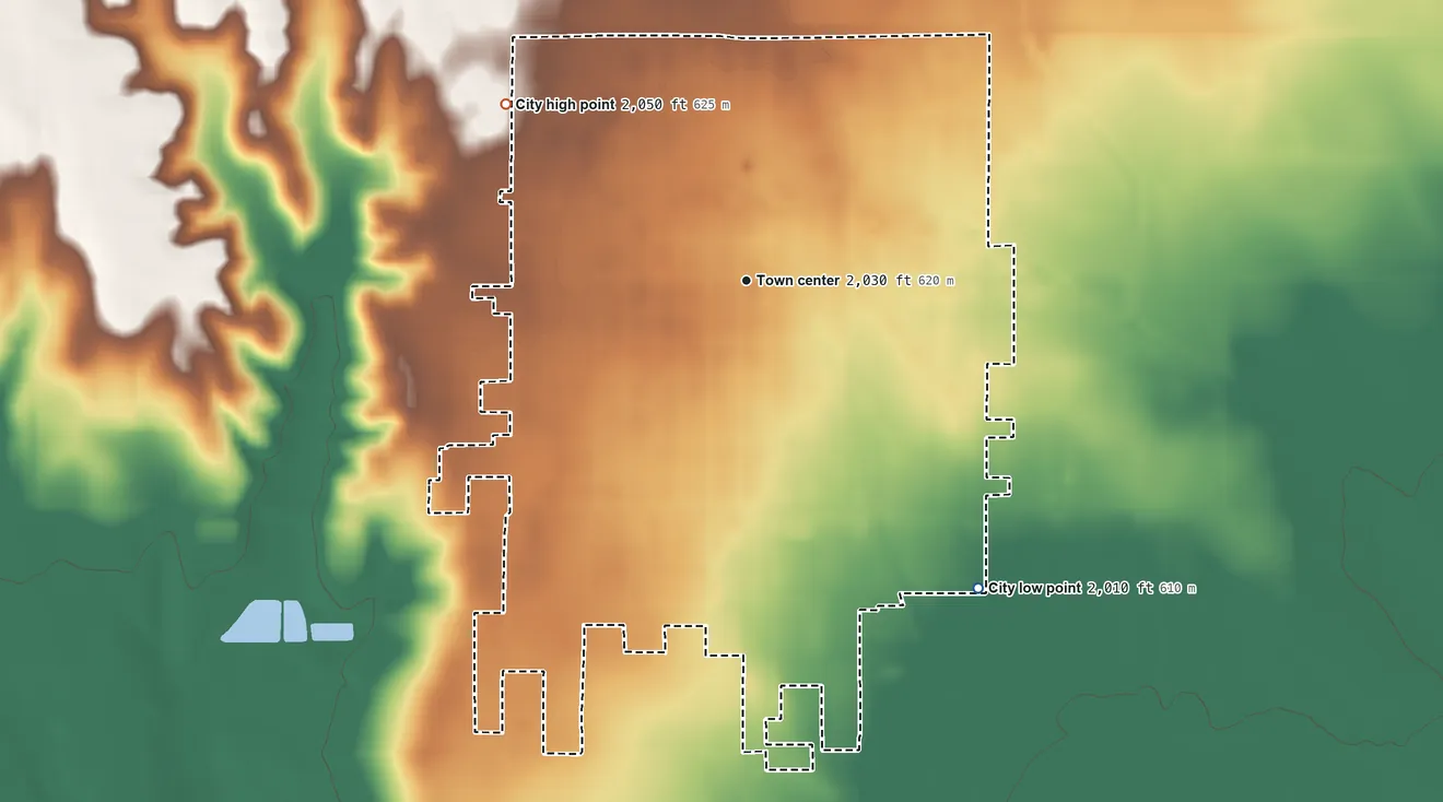 Topographic elevation map of Wellington, Texas, shaded from 2,010 ft on the southeast side to 2,050 ft on the northwest side