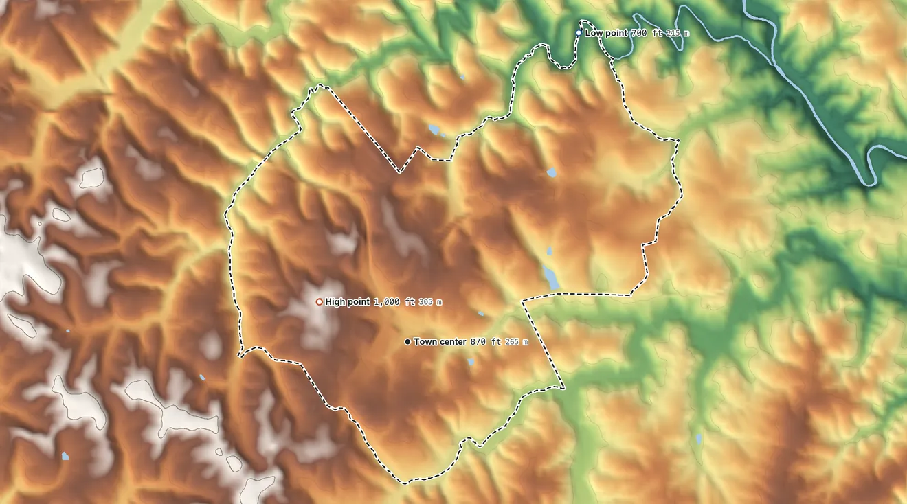 Topographic elevation map of Moneta, Virginia, shaded from 700 ft on the northeast side to 1,000 ft on the northwest side