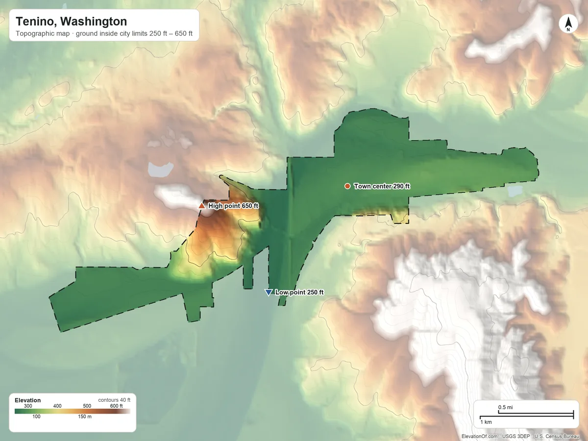 Topographic elevation map of Tenino, Washington, shaded from 250 ft on the southwest side to 650 ft on the west edge, below higher ground just outside