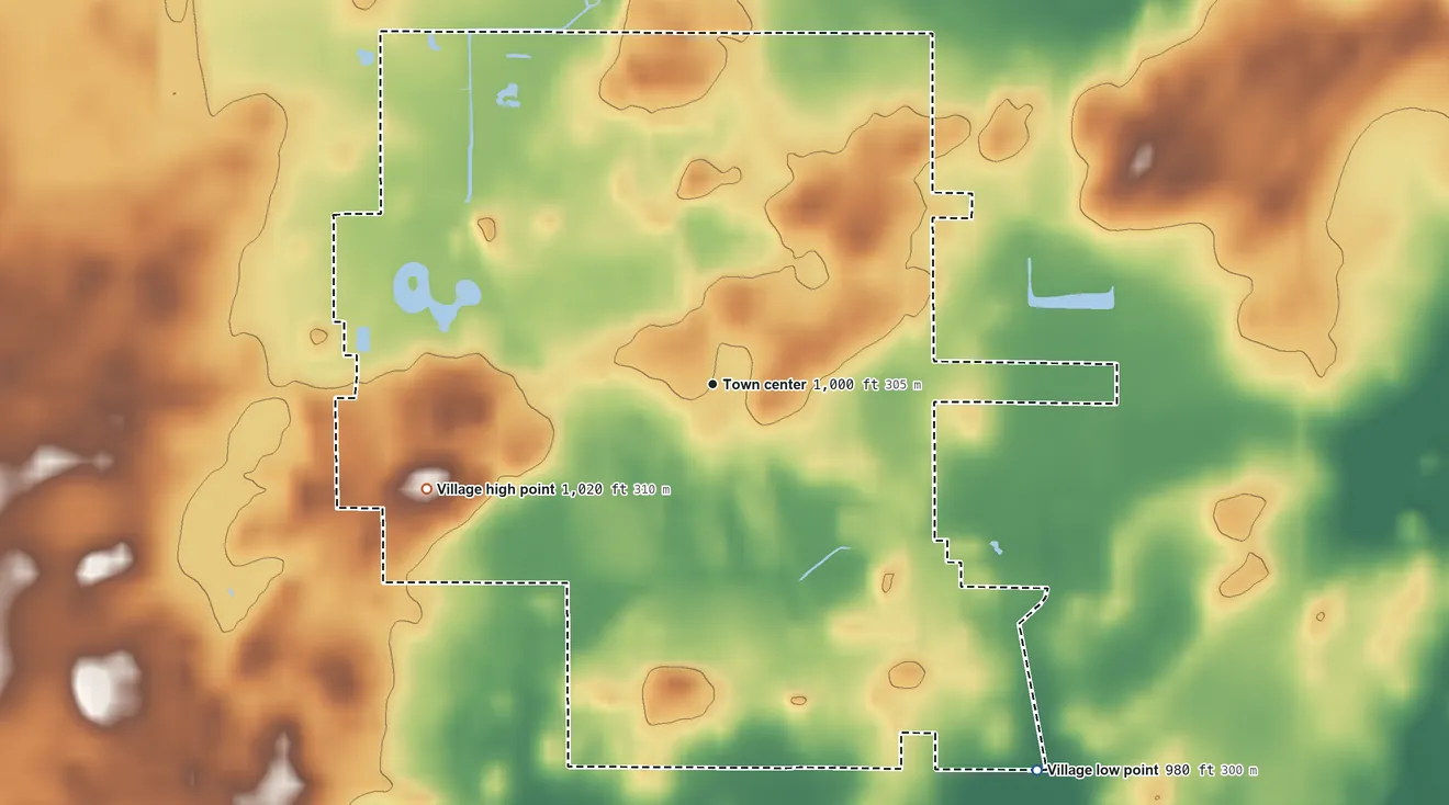 Topographic elevation map of Brandon, Wisconsin, shaded from 980 ft on the southeast side to 1,020 ft on the west side