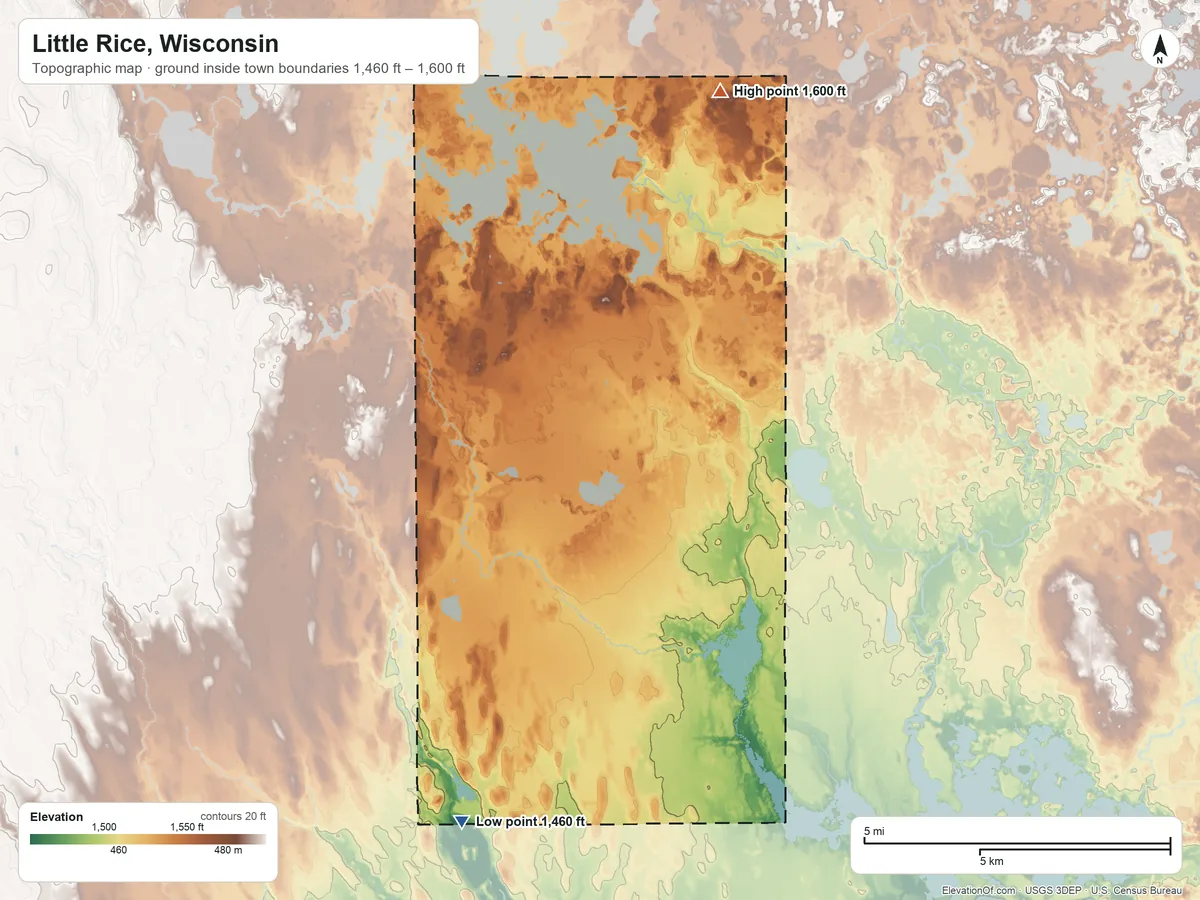 Topographic elevation map of Little Rice, Wisconsin, shaded from 1,460 ft on the southwest side to 1,600 ft on the north side