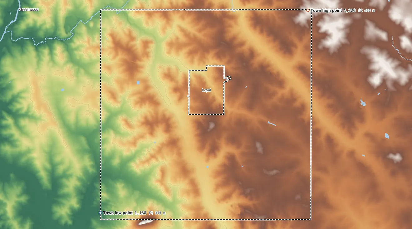 Topographic elevation map of Town of Loyal, Wisconsin, shaded from 1,130 ft on the southwest side to 1,320 ft on the northeast side