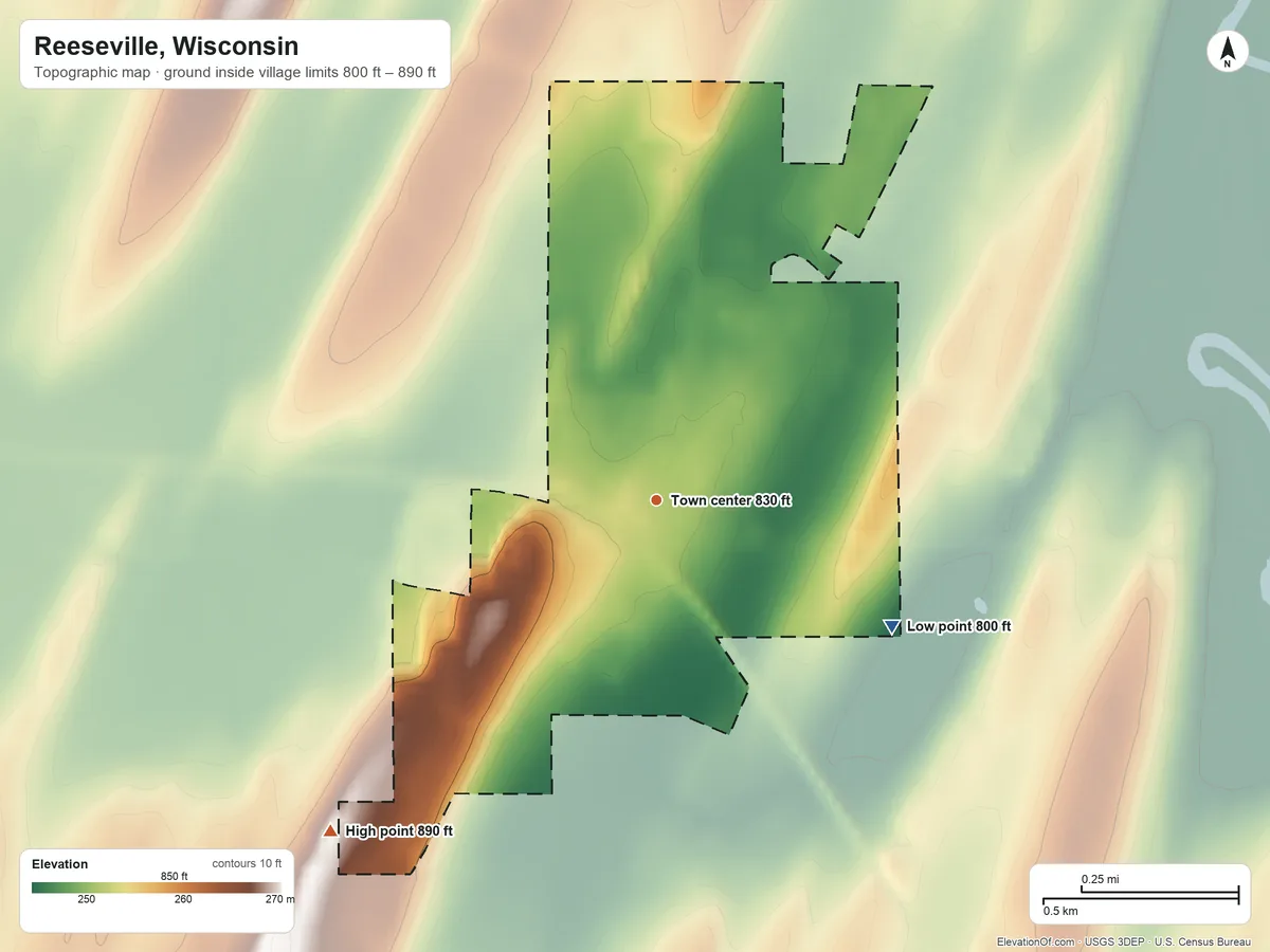 Topographic elevation map of Reeseville, Wisconsin, shaded from 800 ft on the southeast side to 890 ft on the southwest side