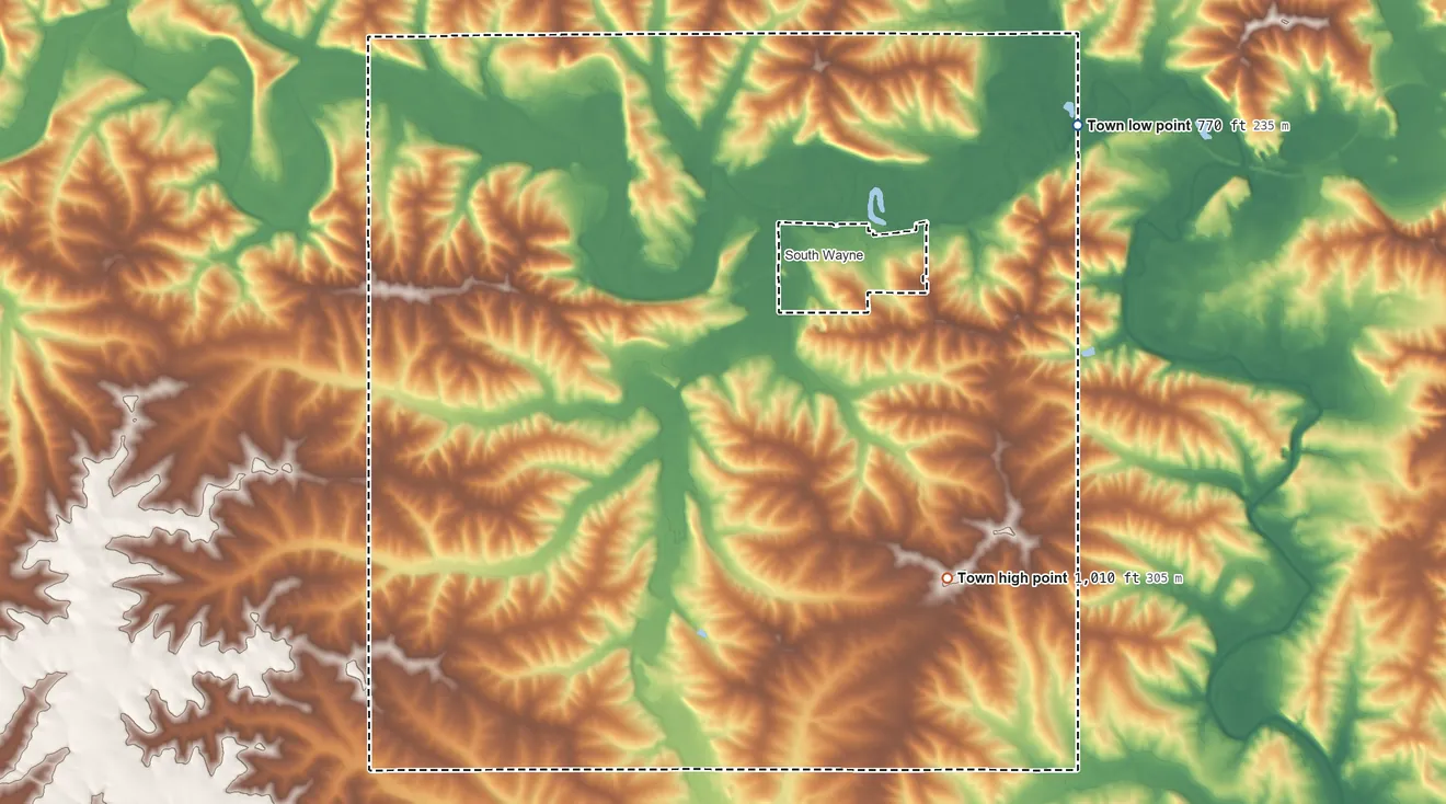 Topographic elevation map of Wayne, Lafayette County, Wisconsin, shaded from 770 ft on the northeast side to 1,010 ft on the southeast side